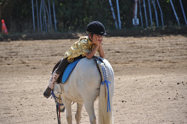 Image d'une petite fille qui est assise à l'envers sur un poney blanc.