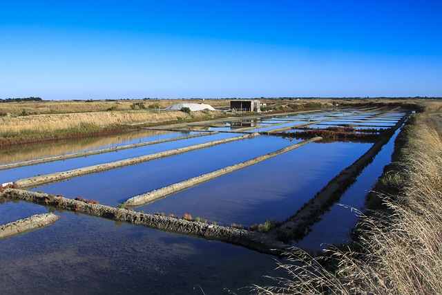 Image des marais salants à Guérande.